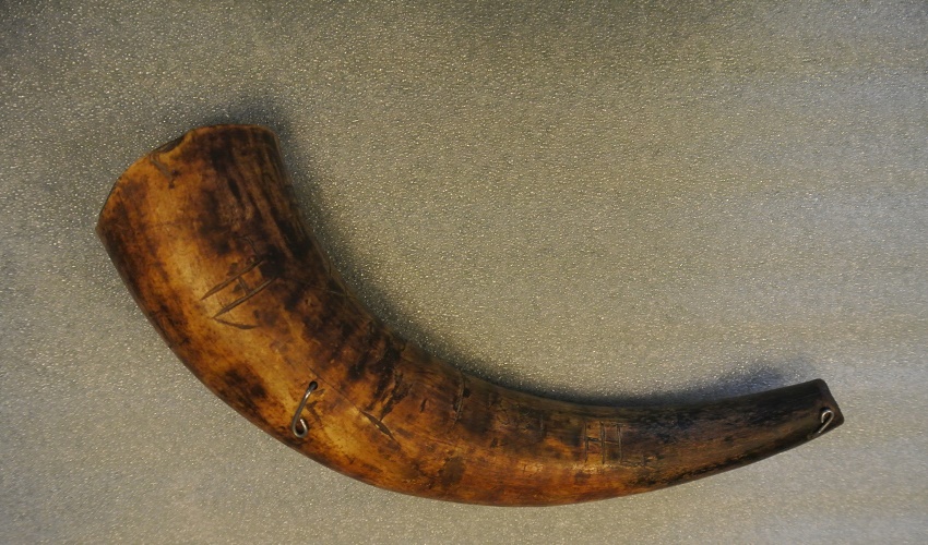 Boerhoorn