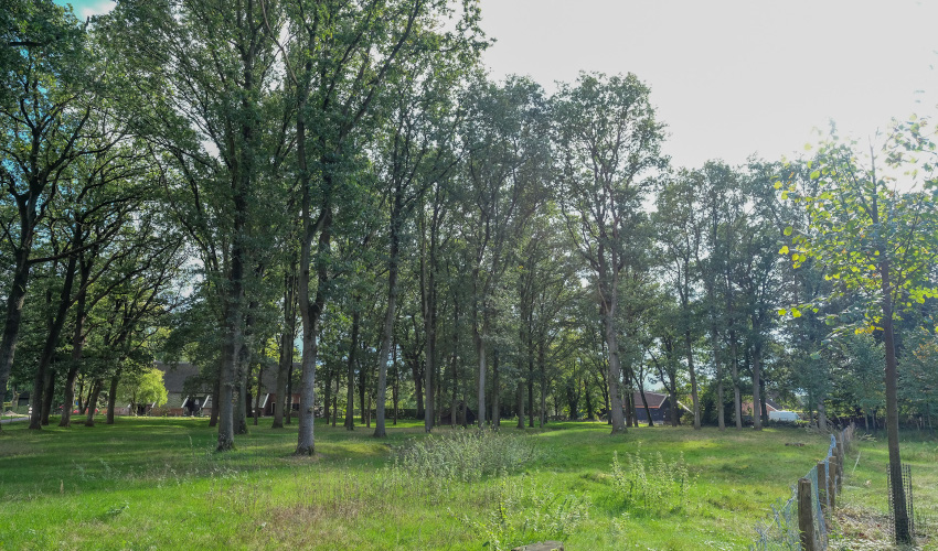 Boermarke