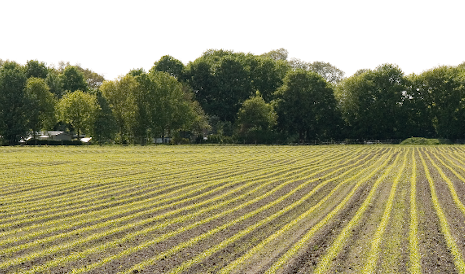 Duurzaam bodembeheer