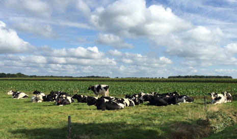 Landbouw Drenthe