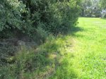 IMG_1441